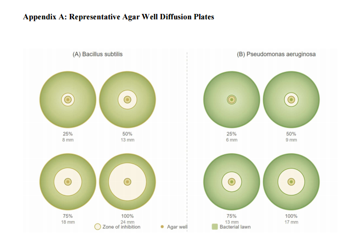 Finding Antibacterial Properties of Chilli Peppers Using Agar Well Diffusion Method