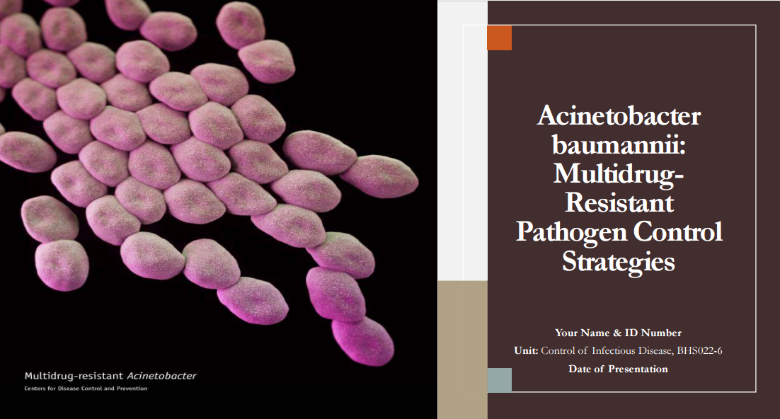 Acinetobacter baumannii: Multidrug-Resistant Pathogen Control Strategies